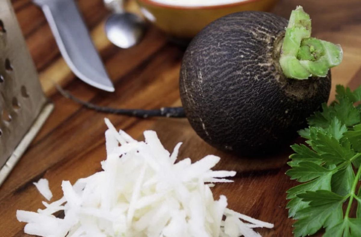 Можно редьку при сахарном диабете. Препараты на основе черной редьки. Репа корнеплод. Редька зеленая для диабетика. Полезна ли редька.