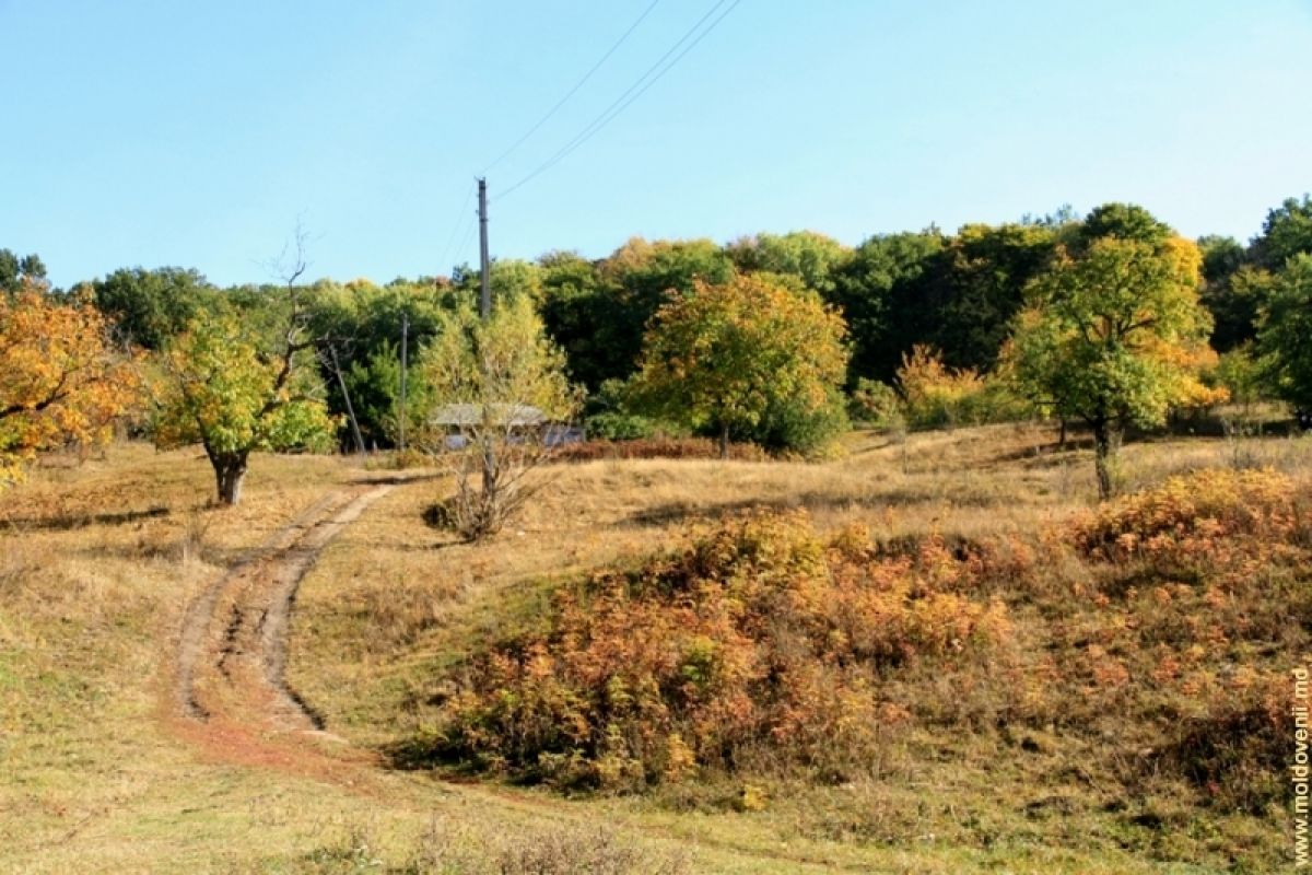 Село бахмут. Бахмут Молдова. Молдавия село Бахмут. Бахмут Молдова Пояна. Песчаный овраг Веверица Молдова.