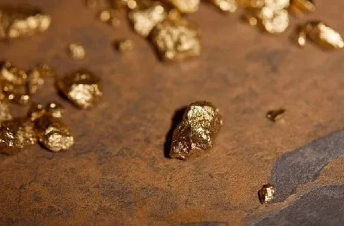 Найдены тонны золота. 20 Тонн золота. Добыча тонами золото анунаки. Пол кг грама золота. 65 Тон золота как выглядит.