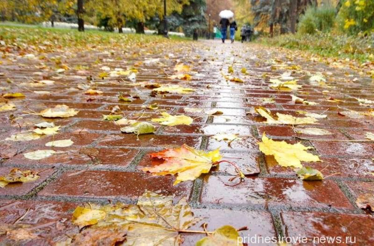 Плачущее небо под ногами. Дождливая осень. Дождливый осенний день. Промозглая осень. Дождь осенью.